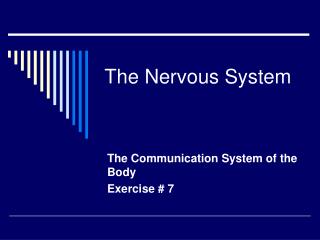 The Nervous System