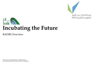 Incubating the Future BADIR Overview