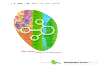 internationalregulomeconsortium