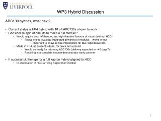 WP3 Hybrid Discussion