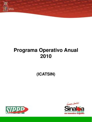 Programa Operativo Anual 2010