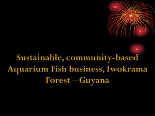 Sustainable, community-based Aquarium Fish business, Iwokrama Forest – Guyana