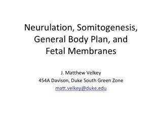 Neurulation, Somitogenesis, General Body Plan, and Fetal Membranes