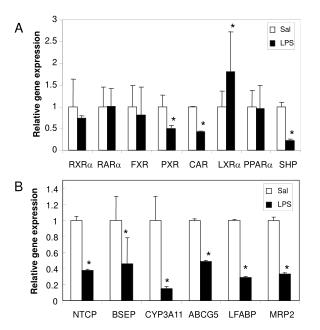 Relative gene expression