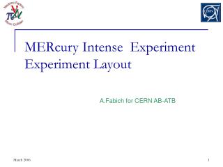 MERcury Intense Experiment Experiment Layout