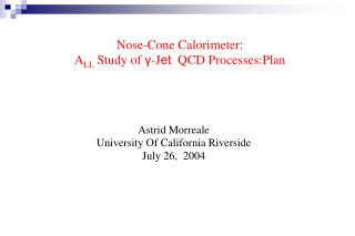 Nose-Cone Calorimeter: A LL Study of γ -J et QCD Processes:Plan