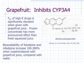 Grapefruit: Inhibits CYP3A4