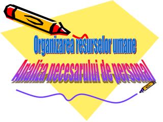 Organizarea resurselor umane