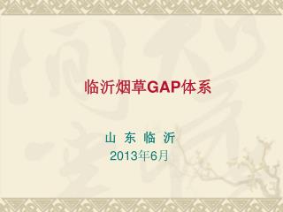 临沂烟草 GAP 体系