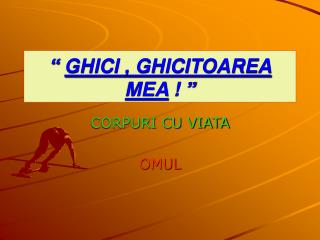 “ GHICI , GHICITOAREA MEA ! ”