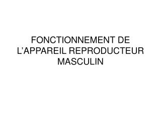 FONCTIONNEMENT DE L’APPAREIL REPRODUCTEUR MASCULIN