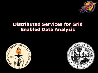 Distributed Services for Grid Enabled Data Analysis