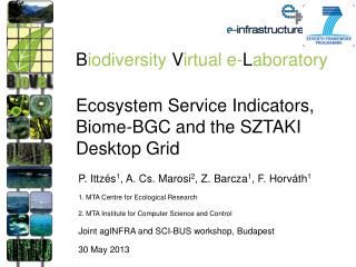 Ecosystem Service Indicators, Biome-BGC and the SZTAKI Desktop Grid