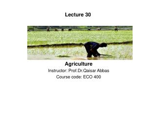 Agriculture Instructor: Prof.Dr.Qaisar Abbas Course code: ECO 400