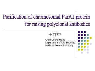 Purification of chromosomal ParA1 protein for raising polyclonal antibodies