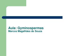 Aula: Gyminospermas Marcos Magalhães de Souza