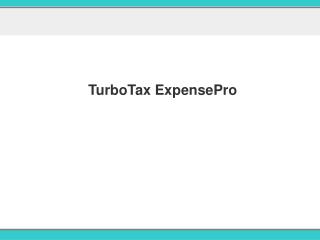 TurboTax ExpensePro