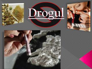 Drogul