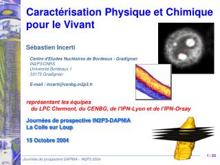 Caractérisation Physique et Chimique pour le Vivant Sébastien Incerti