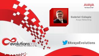 Gabriel Cálapiz Avaya Networking