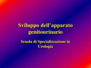 Sviluppo dell’apparato genitourinario