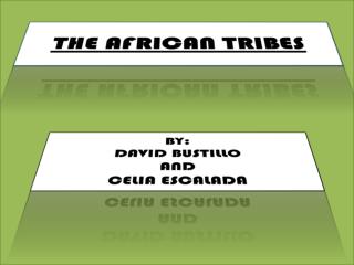 TRIBUS AFRICANAS
