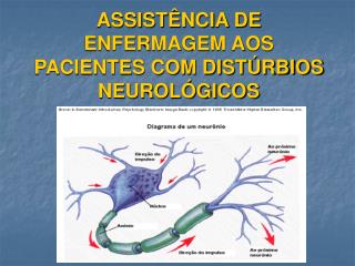 ASSISTÊNCIA DE ENFERMAGEM AOS PACIENTES COM DISTÚRBIOS NEUROLÓGICOS