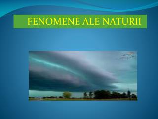 FENOMENE ALE NATURII