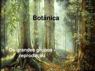 Botânica