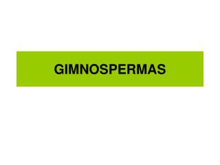 GIMNOSPERMAS