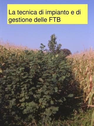 La tecnica di impianto e di gestione delle FTB