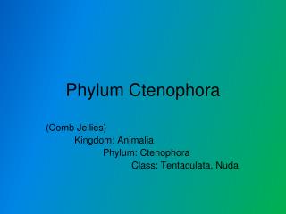 Phylum Ctenophora