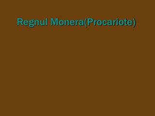 Regnul Monera(Procariote)