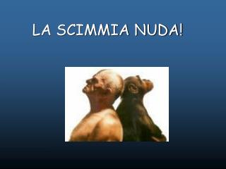 LA SCIMMIA NUDA!