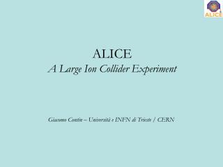 ALICE A Large Ion Collider Experiment