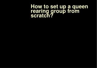 How to set up a queen rearing group from scratch?