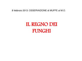 IL REGNO DEI FUNGHI