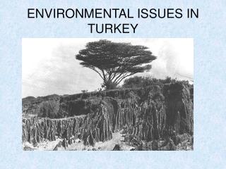 ENVIRONMENTAL ISSUES IN TURKEY