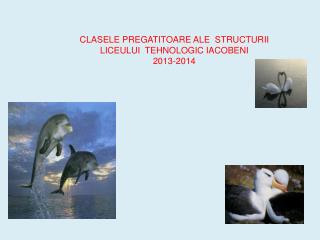 CLASELE PREGATITOARE ALE STRUCTURII LICEULUI TEHNOLOGIC IACOBENI 2013-2014