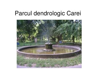 Parcul dendrologic Carei