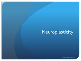 Neuroplasticity