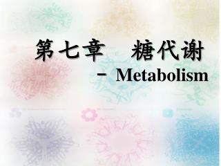 第七章 糖代谢 - Metabolism