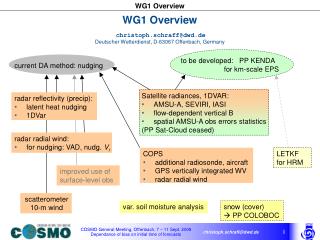 WG1 Overview christoph.schraff@dwd.de Deutscher Wetterdienst, D-63067 Offenbach, Germany