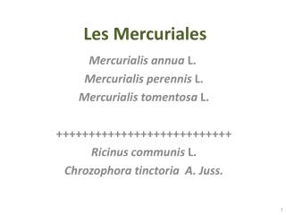 Les Mercuriales