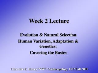 Week 2 Lecture