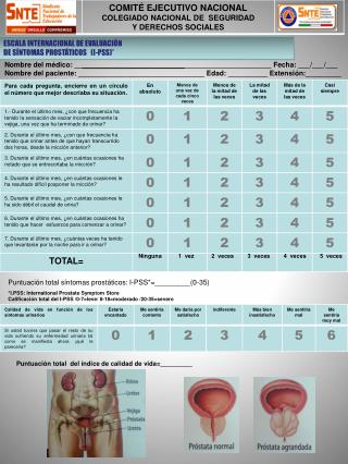 ESCALA INTERNACIONAL DE EVALUACIÓN DE SÍNTOMAS PROSTÁTICOS (I-PSS)*