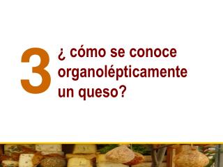 ¿ cómo se conoce organolépticamente un queso?