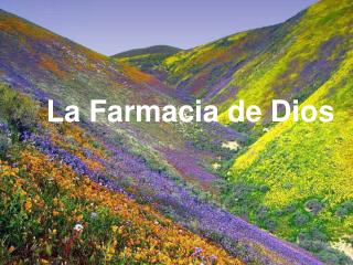 La Farmacia de Dios