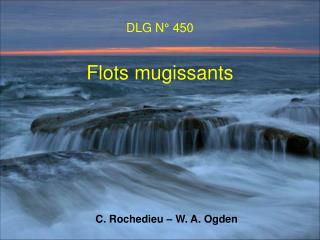 DLG N° 450 Flots mugissants