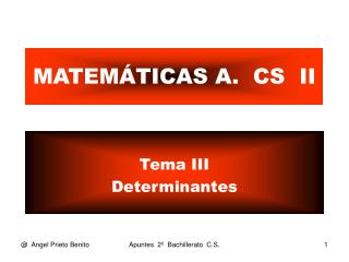 MATEMÁTICAS A. CS II